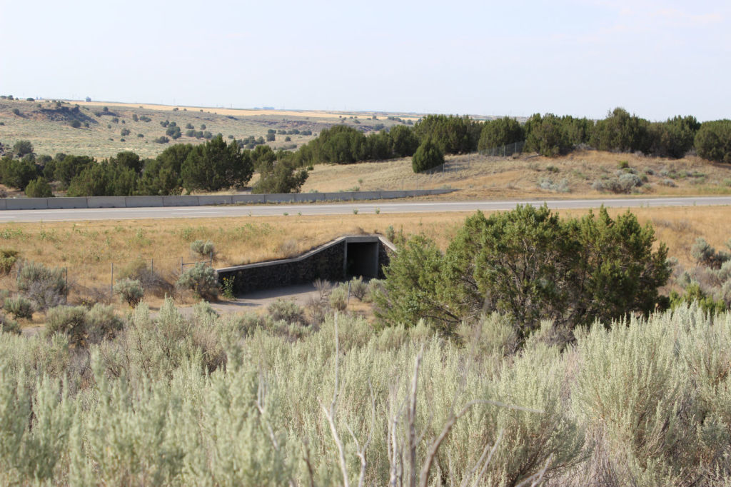 Tunnel under freeway to get to Oregon Trail Ruts